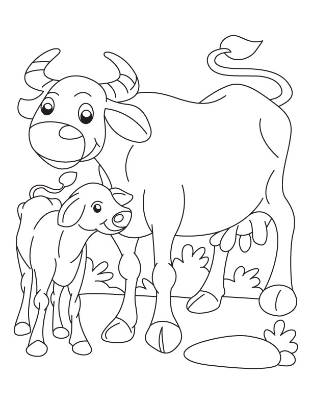 Buffalo and calf coloring page download free buffalo and calf coloring page for kids best coloring pages