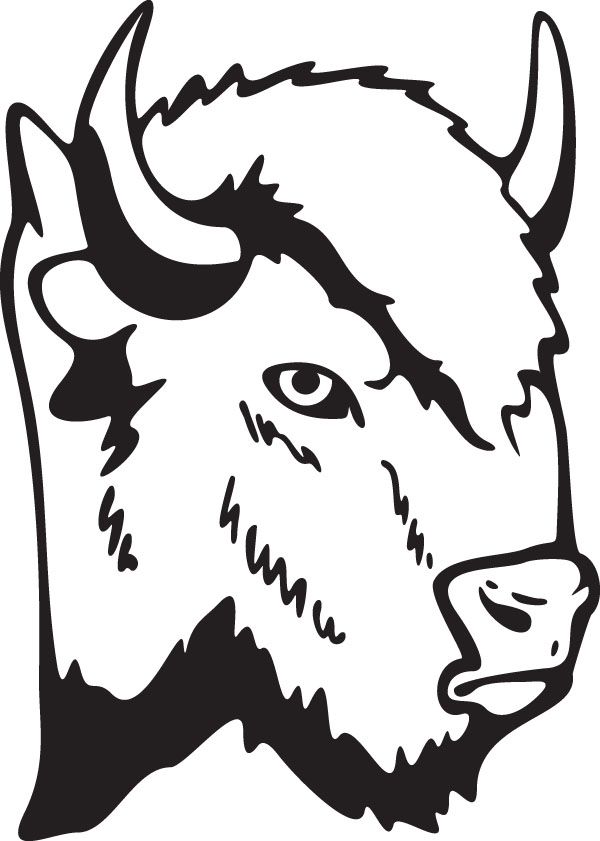 Buffalo coloring pages