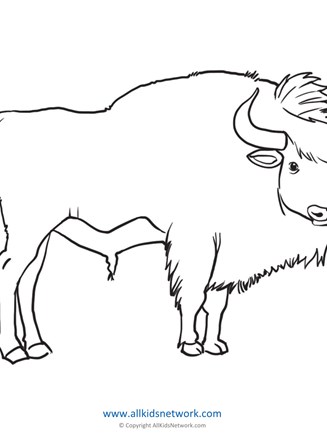 Buffalo coloring page all kids network
