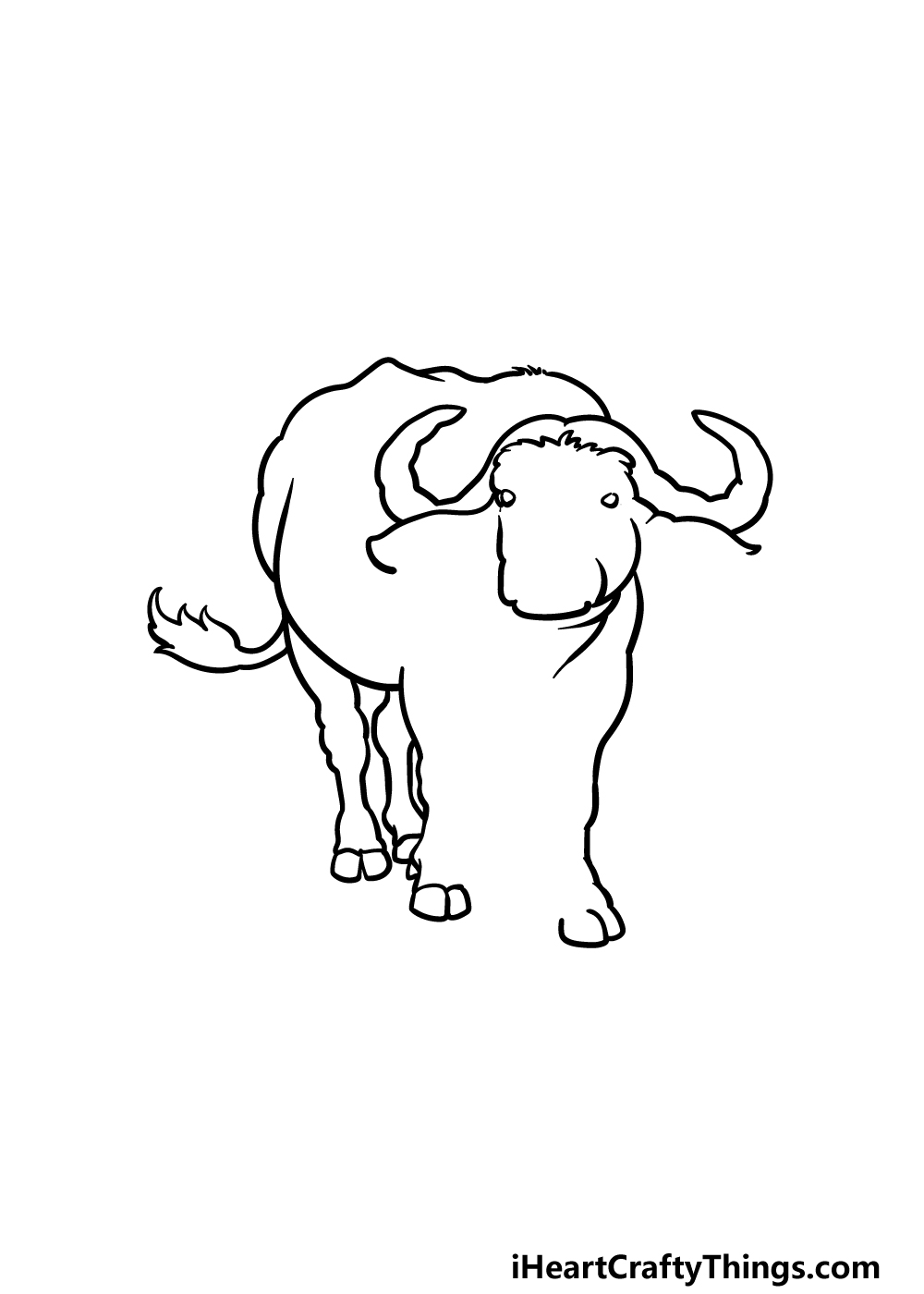 Buffalo drawing