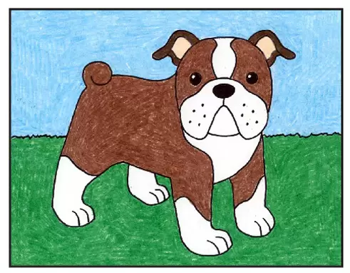 Easy how to draw a bulldog tutorial and bulldog coloring page
