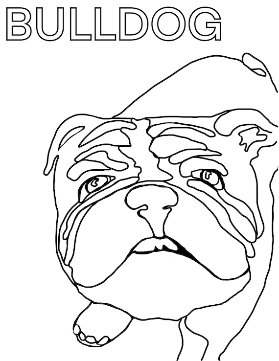 Easy printable bulldog coloring page original artwork for dog lovers instant download