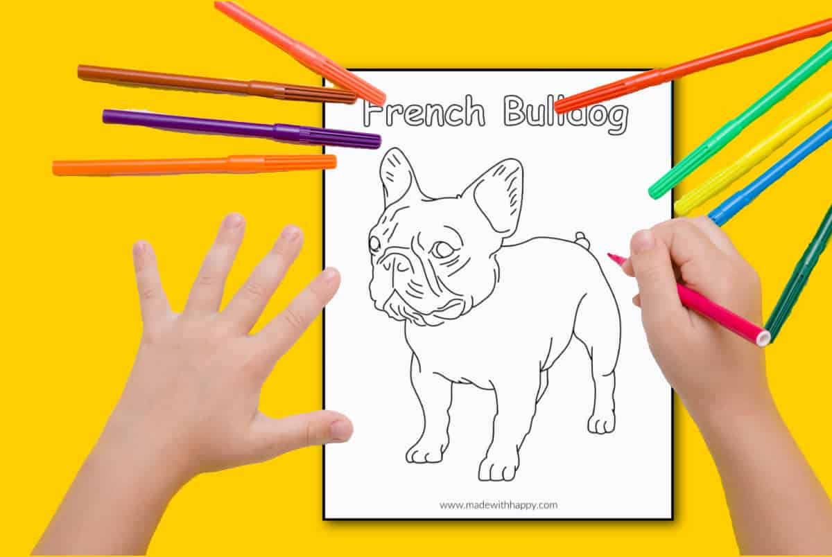 Free printable french bulldog coloring page