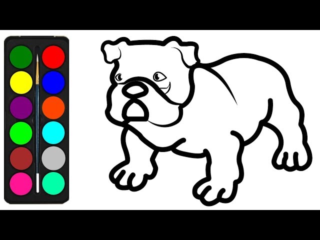 How to draw a bulldog coloring pages for kids