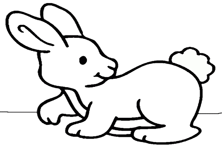 Color in a bunnies coloring page in stead of buying some pets