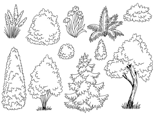 Bushes line drawing royalty