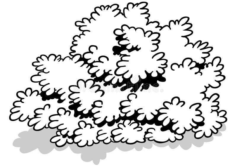 Coloring shrub stock illustrations â coloring shrub stock illustrations vectors clipart