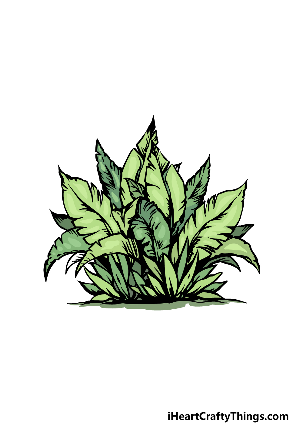 Bush drawing