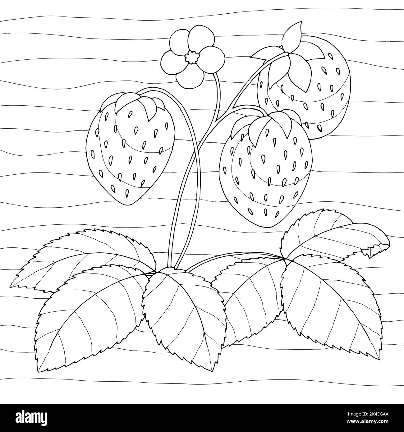 Bush stock vector images