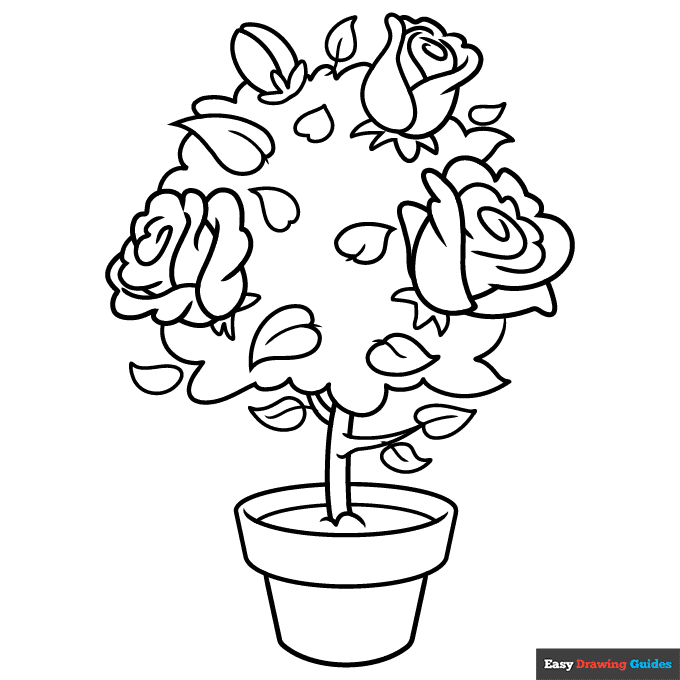 Rose bush coloring page easy drawing guides