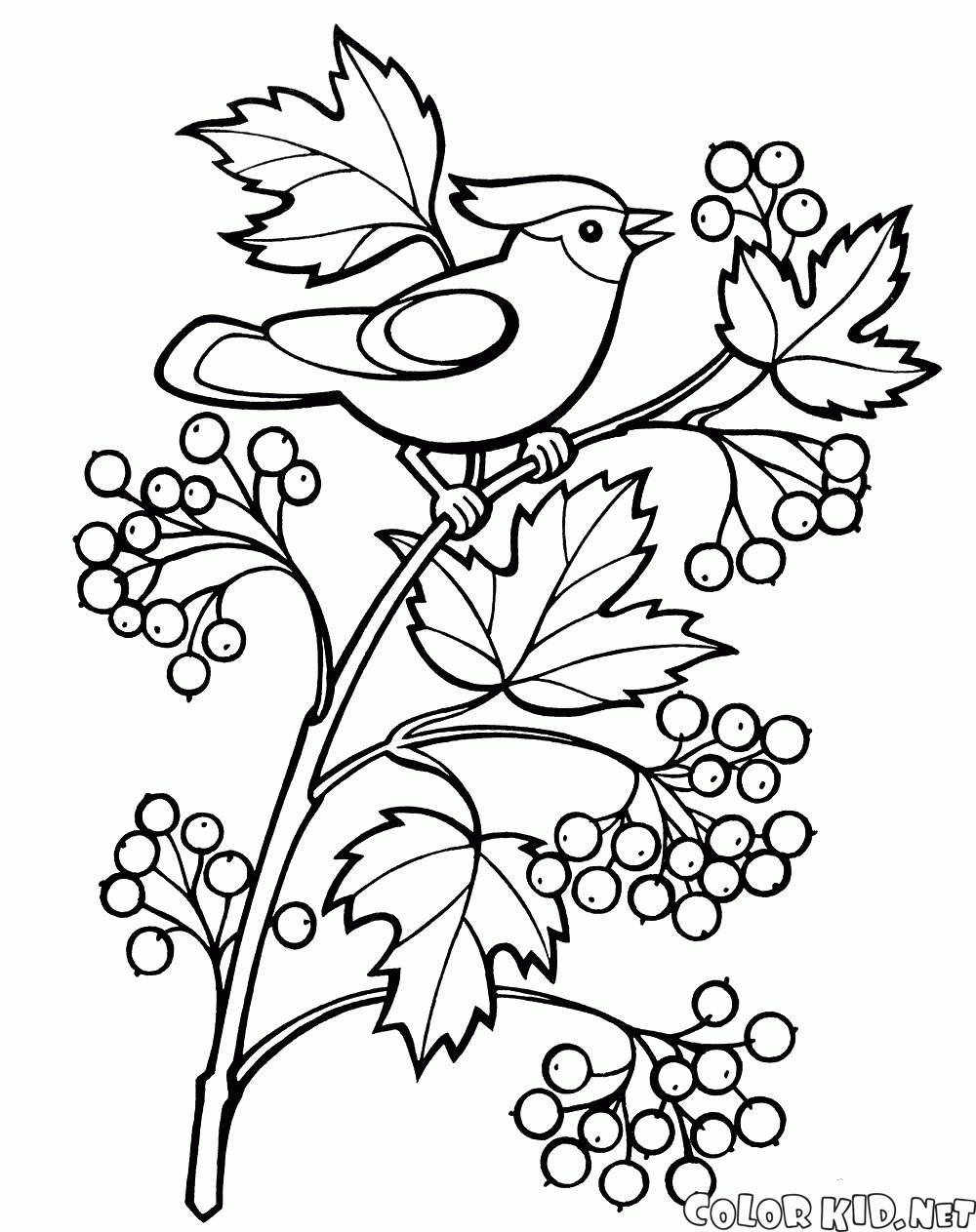Coloring page