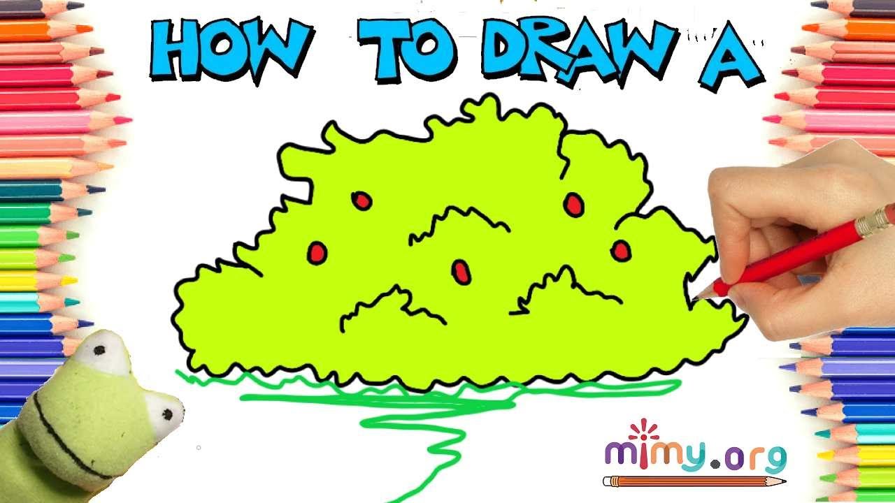 How to draw a bush âï easy drawing ideas and coloring page for kids and beginners easyeasydrawings