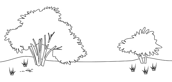 Coloring page with landscape with shrub stock illustration