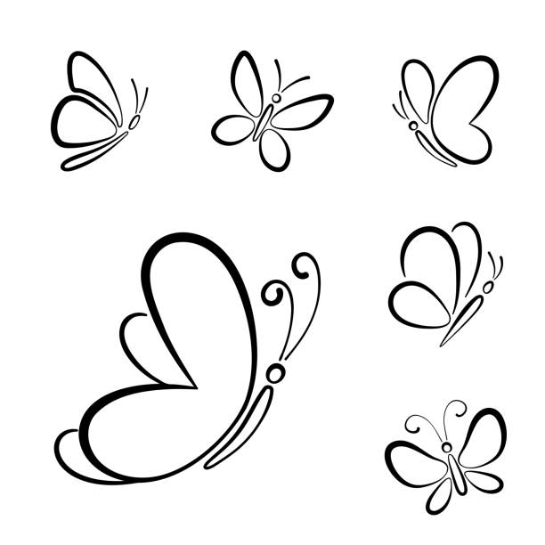 White butterfly tattoos cartoon stock photos pictures royalty