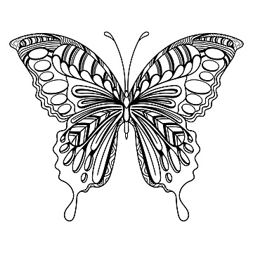 Butterfly mandala zentangle coloring page illustration spiritual mandala pattern vector butterfly drawing rat drawing man drawing png and vector with transparent background for free download