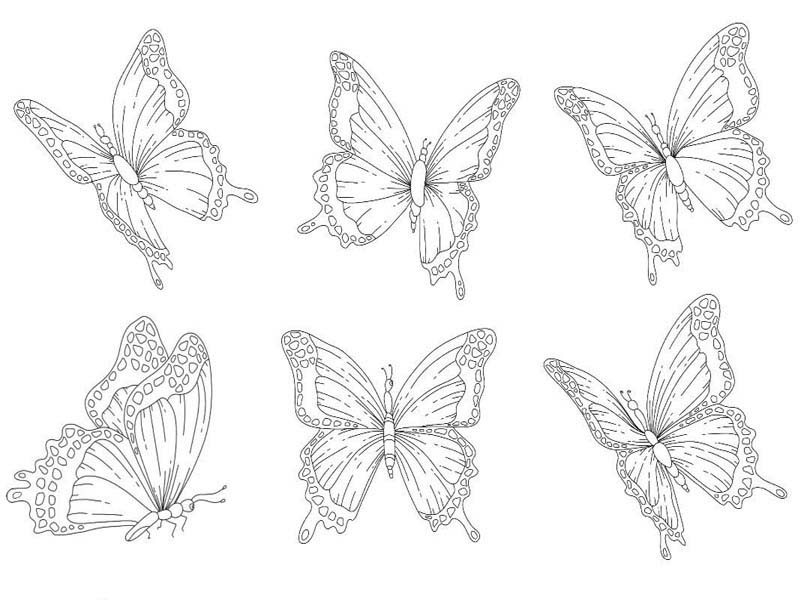 Butterfly coloring pages free pictures for kids