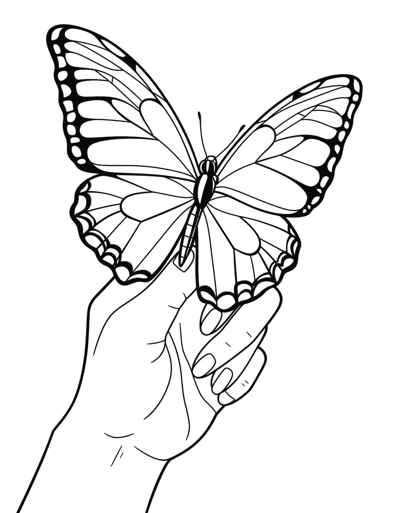 Beautiful butterfly coloring pages for kids and adults