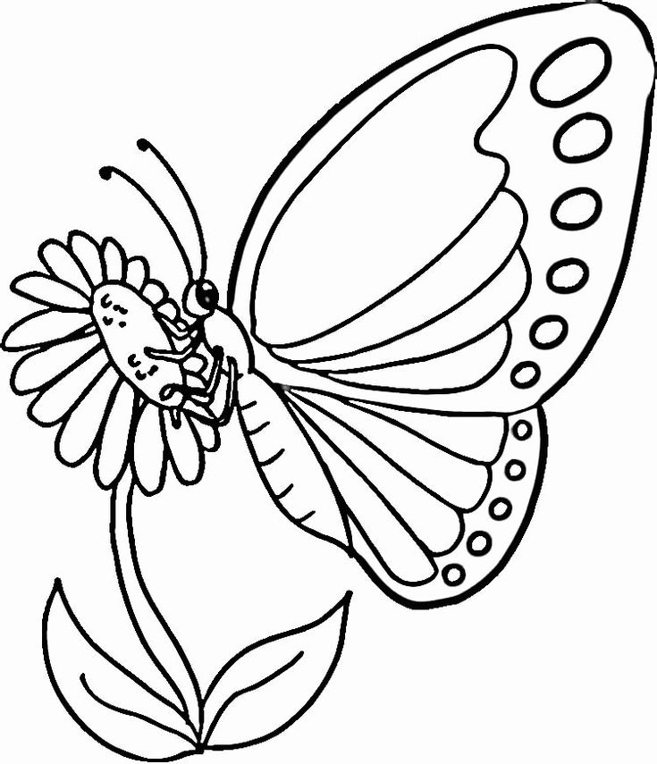 Free printable butterfly coloring pages for kids ð ðñðºñðñðºð ñ ñððµñððð ð ðñðºñðñðºð ððµñðððñðñðµ ñðñðºñðñðºð