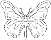 Butterfly coloring pages free coloring pages