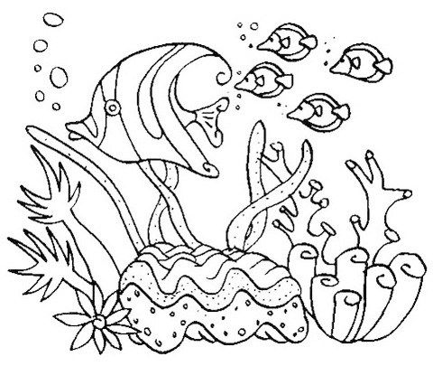 Simple coral reefs coloring picture fish coloring page ocean coloring pages shark coloring pages