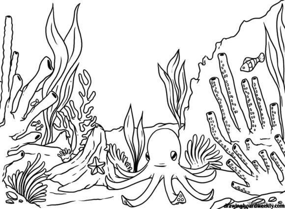 Coral reef coloring page coral reef drawing coral drawing sea animals drawings