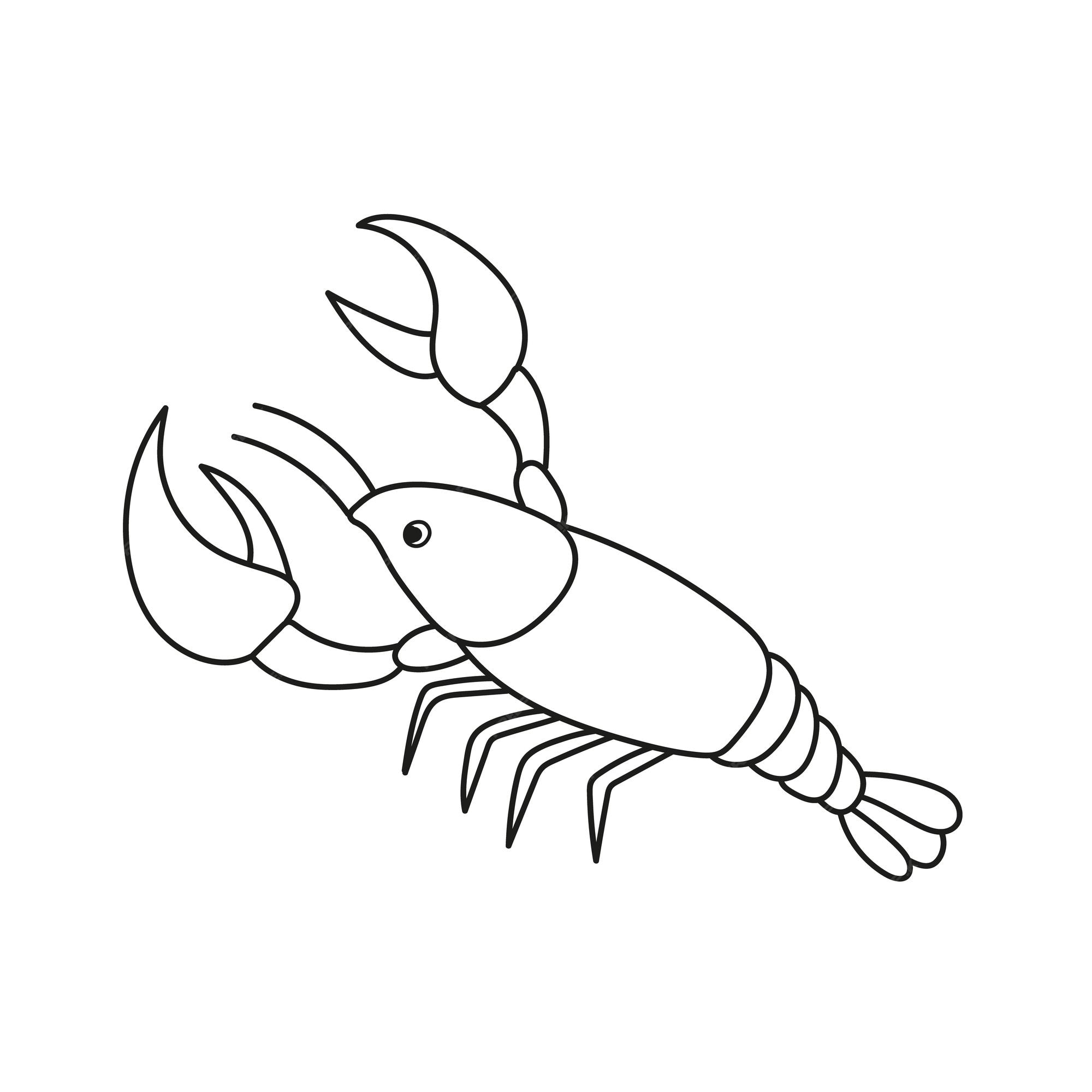 Premium vector simple coloring page vector illustration of cartoon shrimp cancer