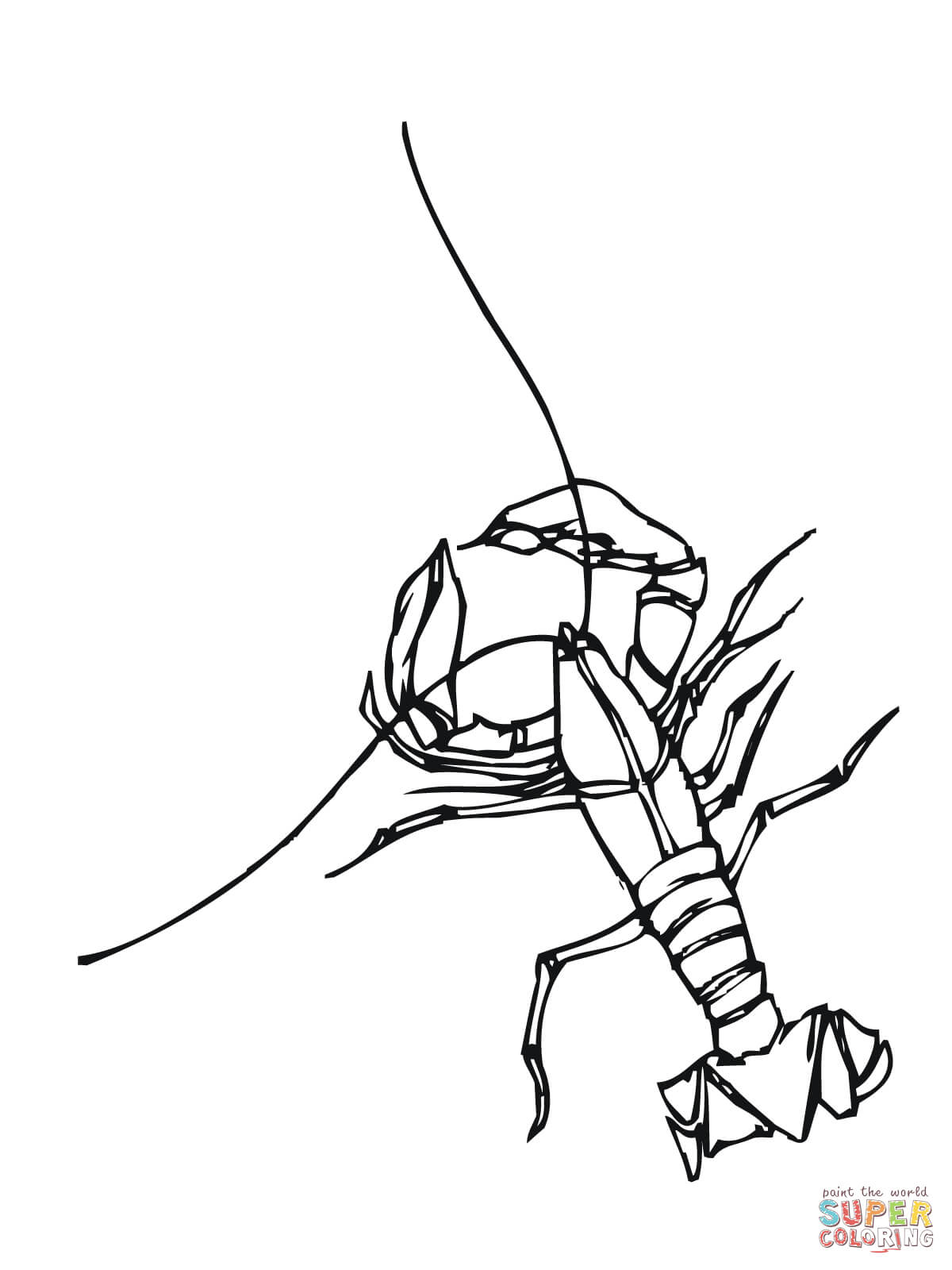 Crawfish freshwater crustacean coloring page free printable coloring pages