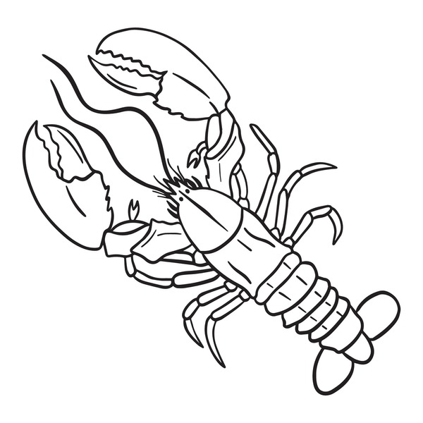 Thousand colorful crayfish royalty