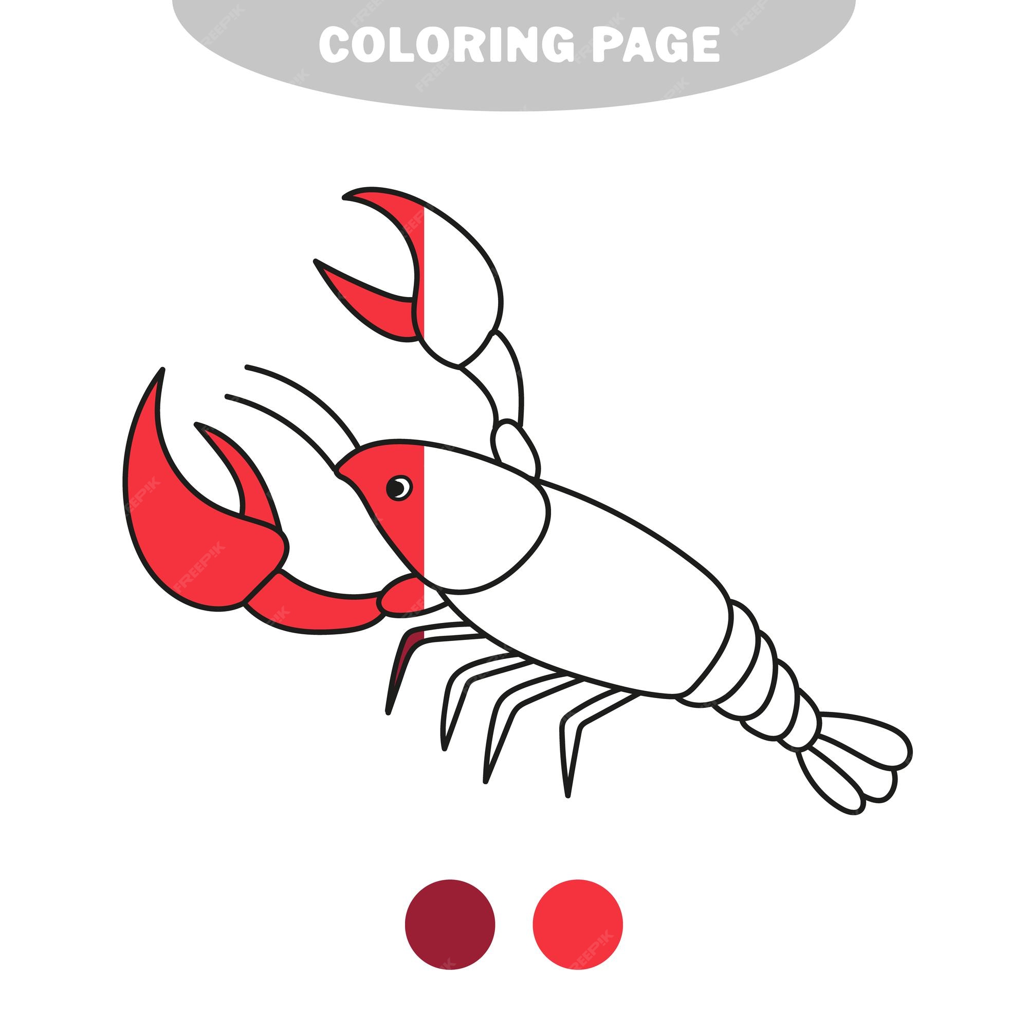Premium vector simple coloring page vector illustration of cartoon shrimp cancer