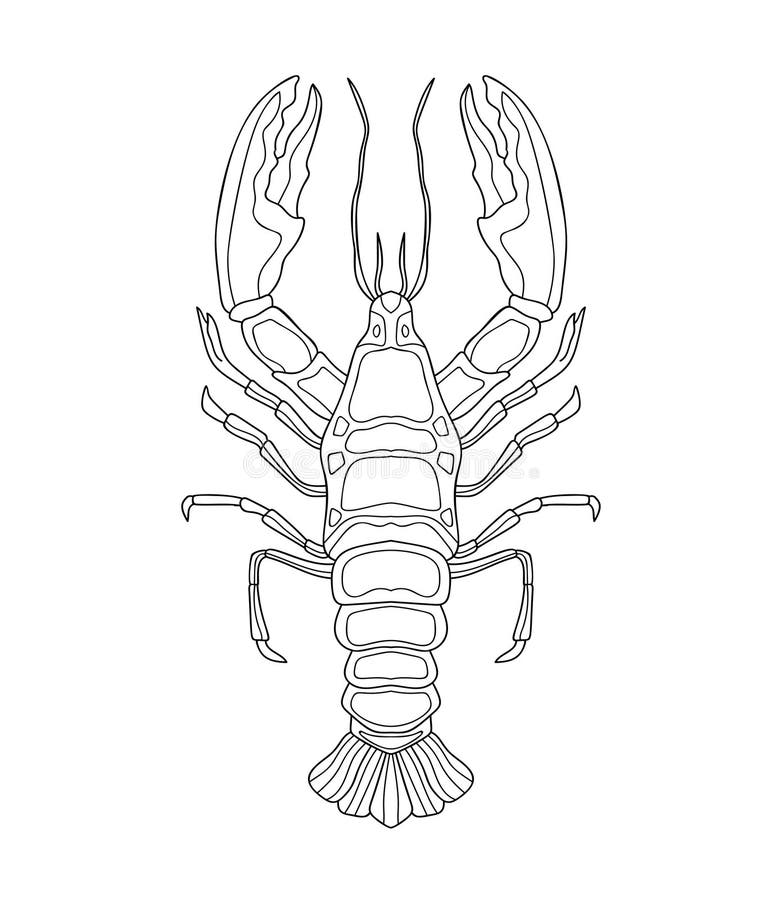 Stylized crayfish stock illustrations â stylized crayfish stock illustrations vectors clipart