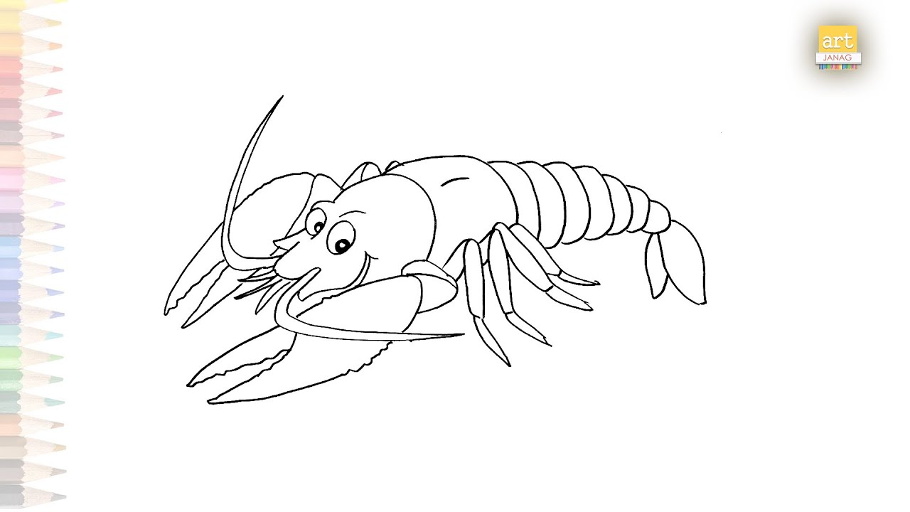 Crayfish drawing easy freshwater fishes drawings how to draw crayfish step by step draw prawn