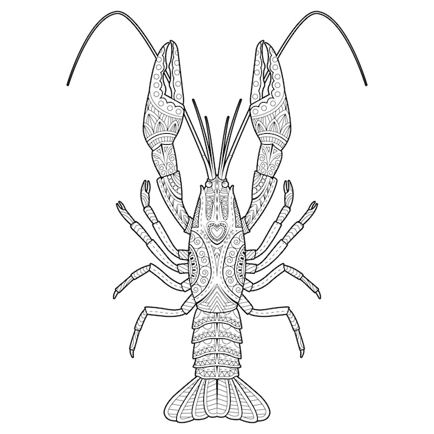 Premium vector vector hand drawn crawfish drawing for coloring book
