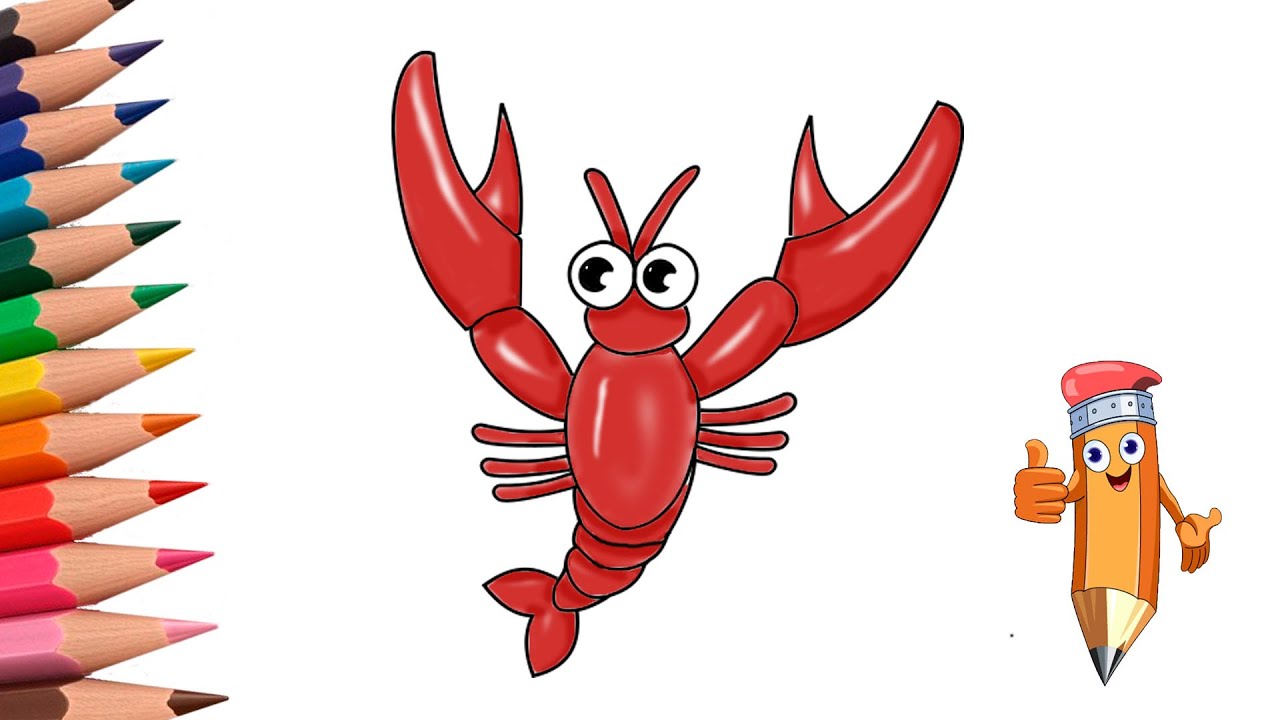 How to draw a crayfish step by step