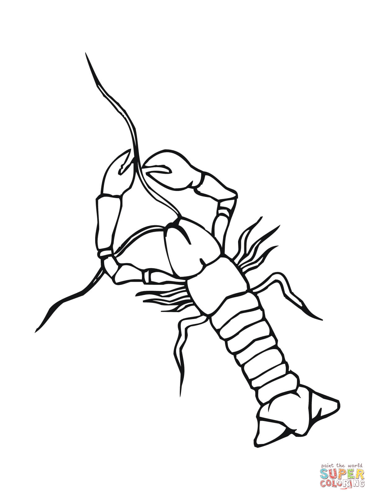 Crayfish crowfish coloring page free printable coloring pages