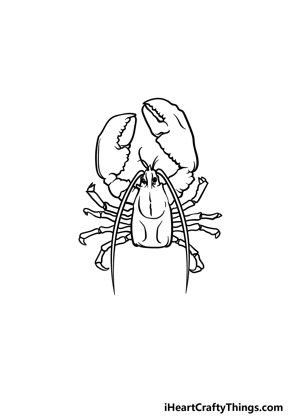 Lobster drawing