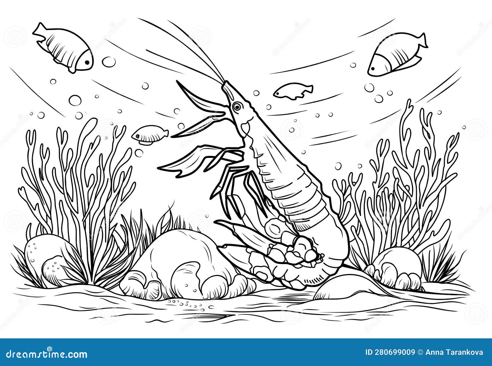 Shrimp coloring book coloring page simple line illustration of shrimp and underwater world stock vector
