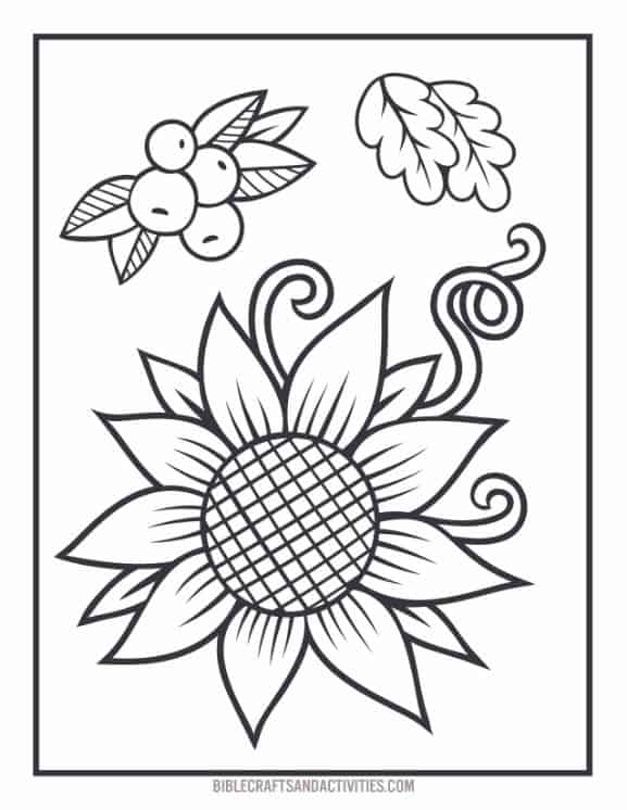 Fall coloring pages