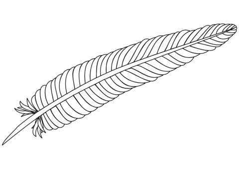 Feather coloring page free printable coloring pages