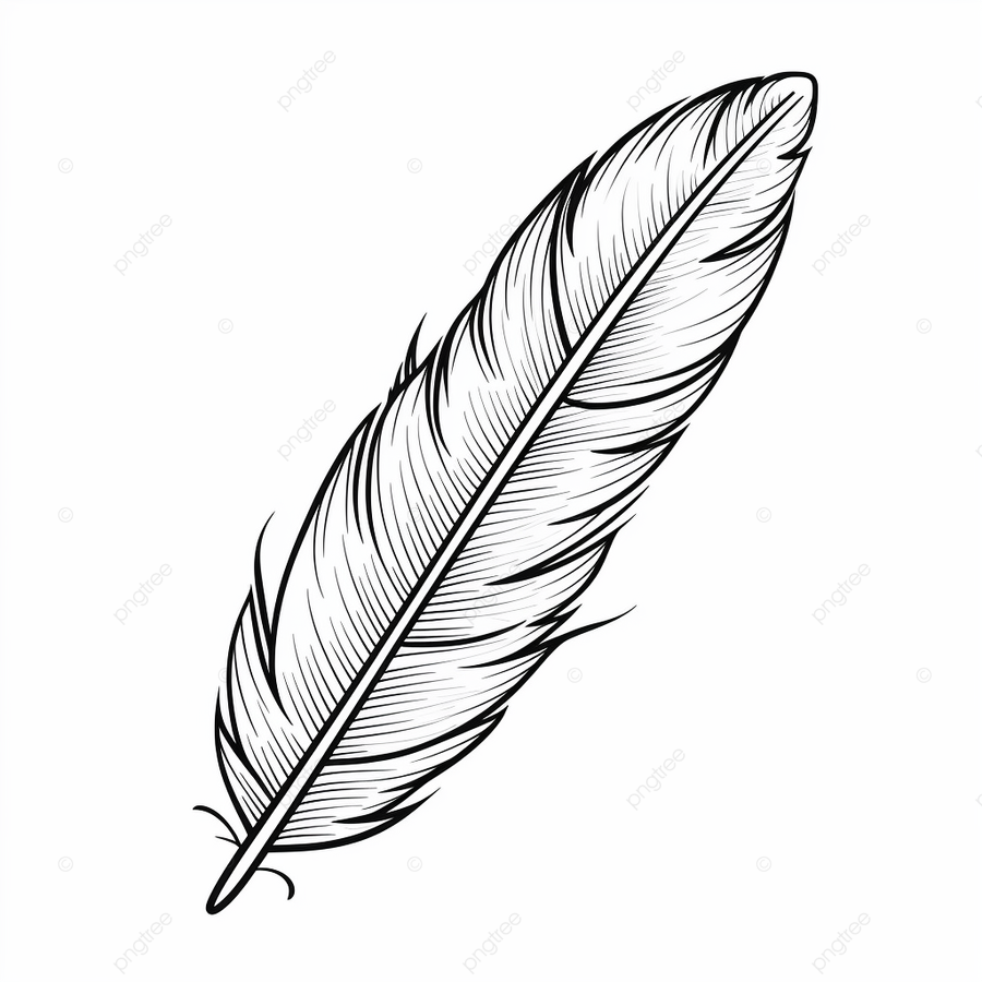 Blackline drawing of a feather basic simple cute cartoon feather outline isolated on white background children s coloring page png transparent image and clipart for free download