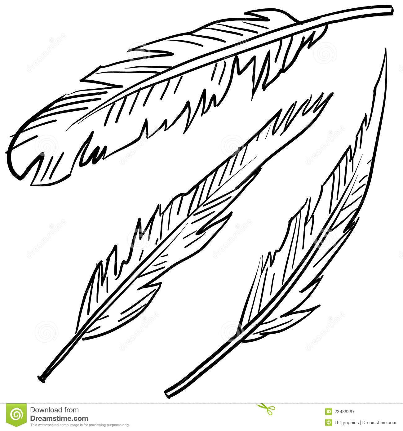 Feather coloring page sketch coloring page feather illustration feather clip art feather sketch