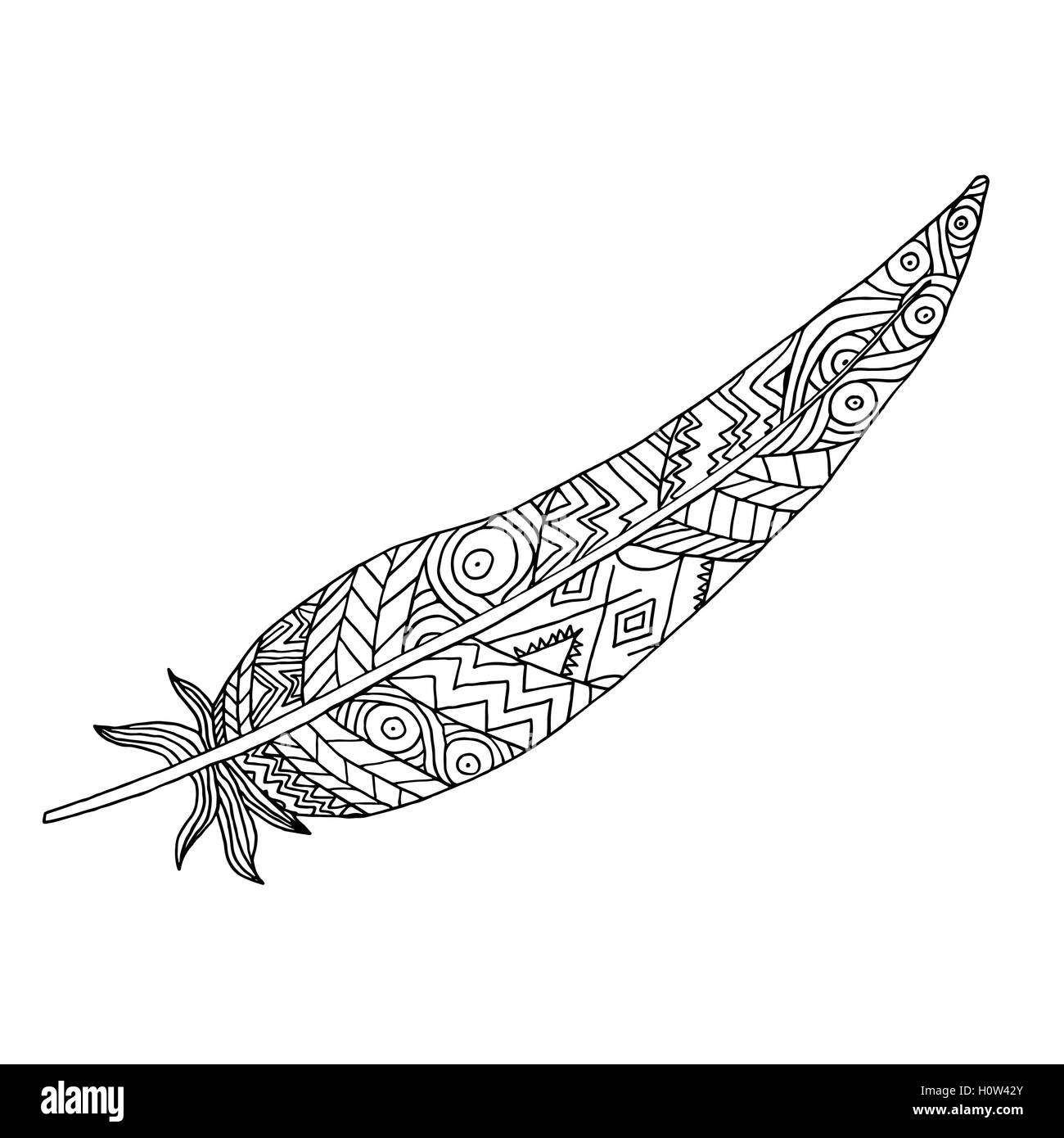 Feather drawing hi