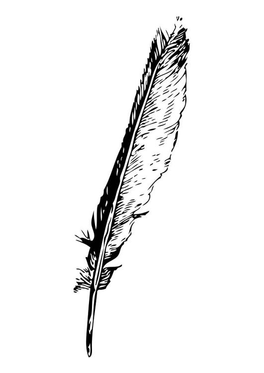 Coloring page feather