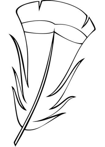 Feather coloring page free printable coloring pages