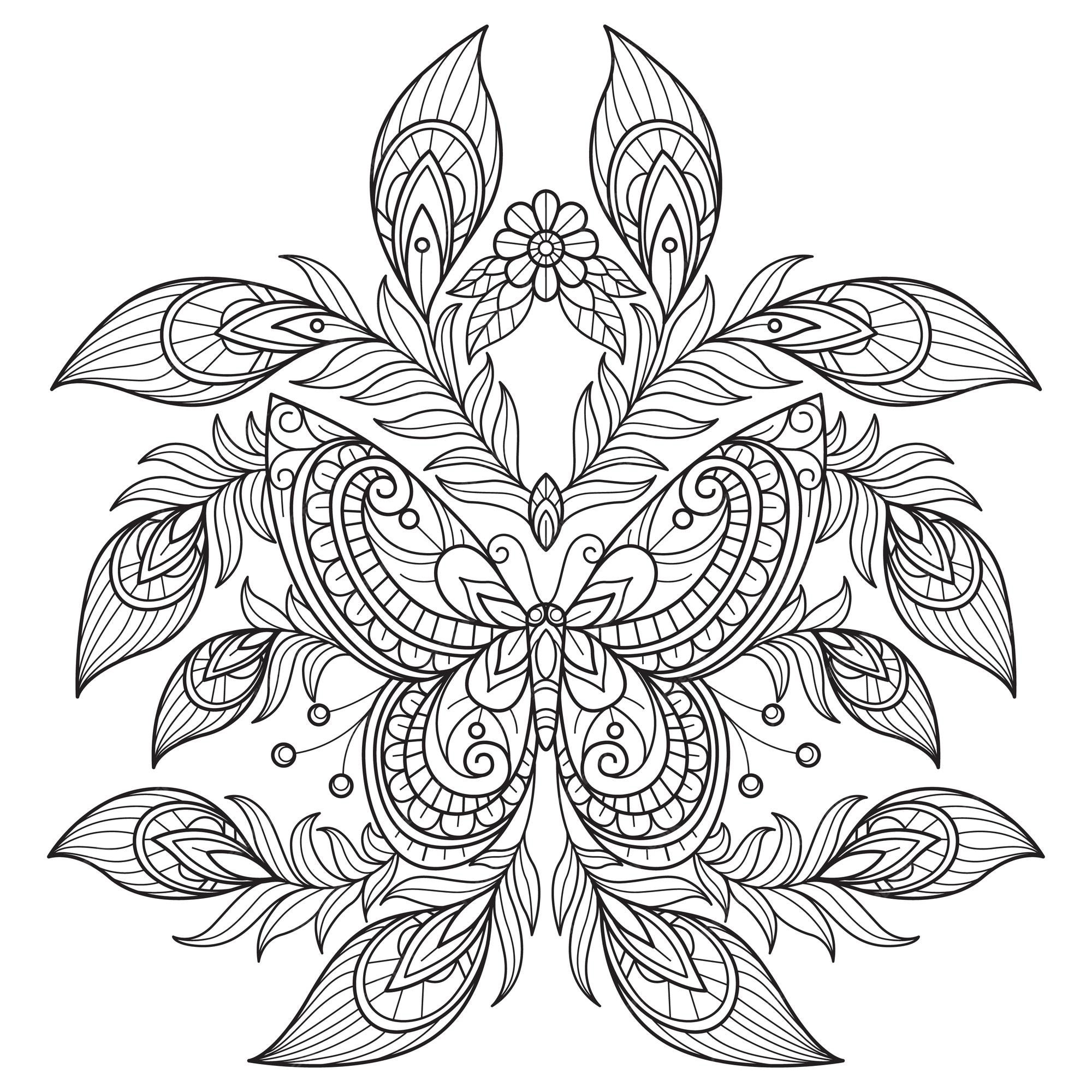 Premium vector butterfly and peacock feather hand drawn for adult coloring book