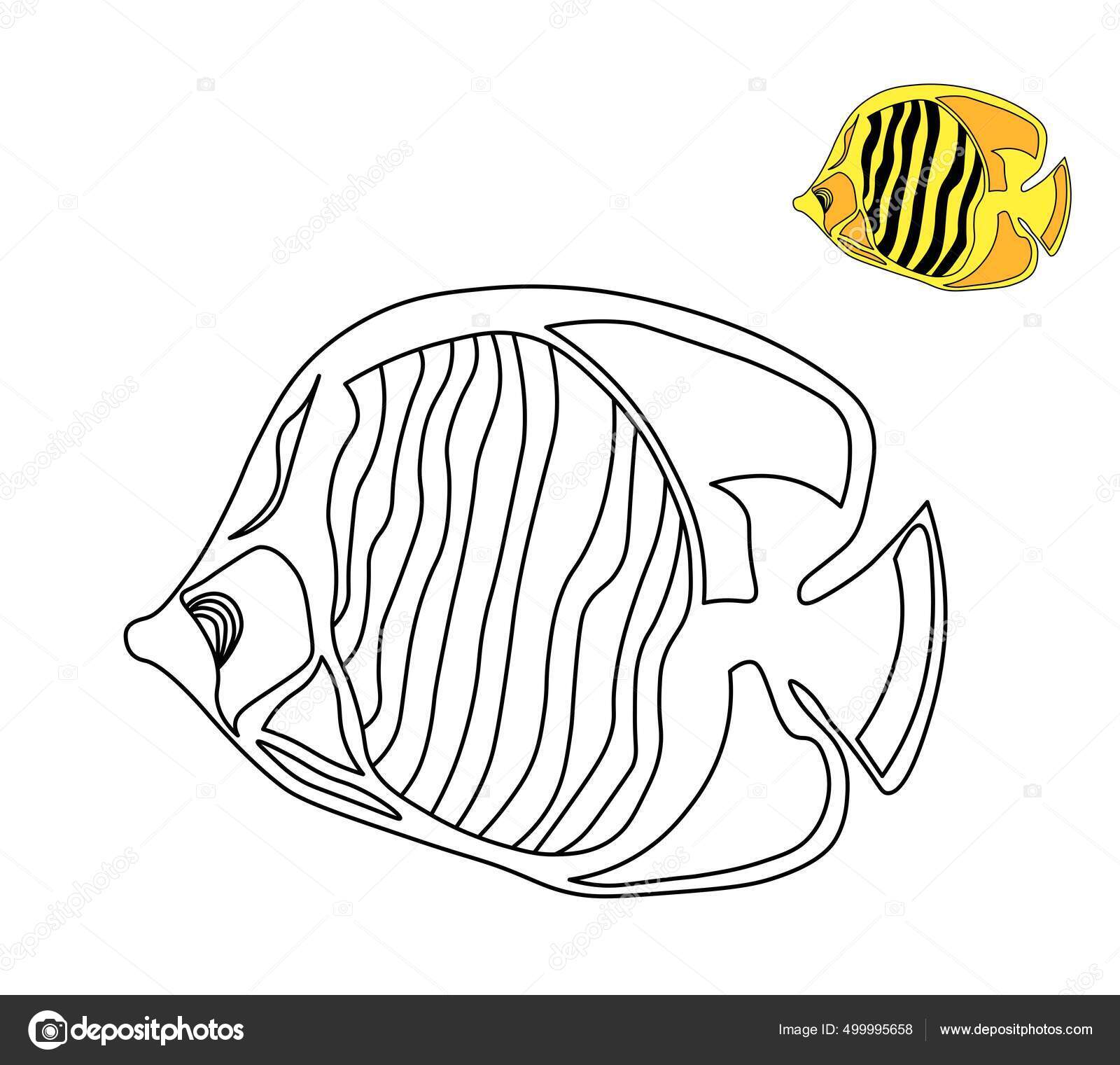 Fish coloring book childrens coloring simple black white figure ocean stock illustration by panthermediaseller