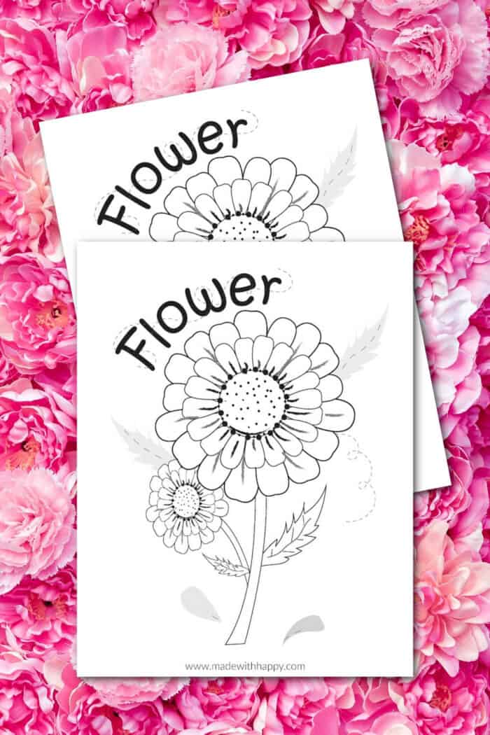 Simple flower coloring page