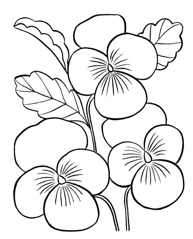 Easy coloring pages for adults