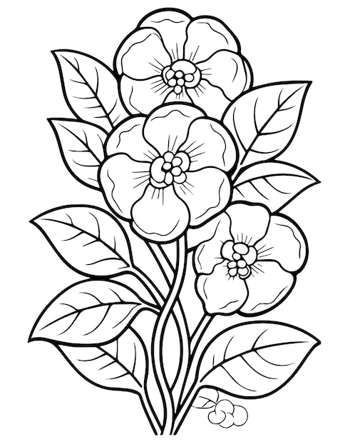 Premium vector flower coloring pages floral designs and hand drawn illustrations