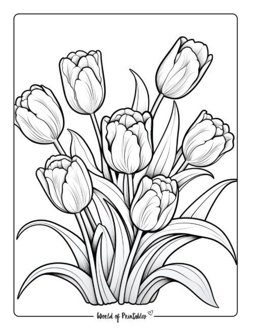 Best flower coloring pages for kids adults