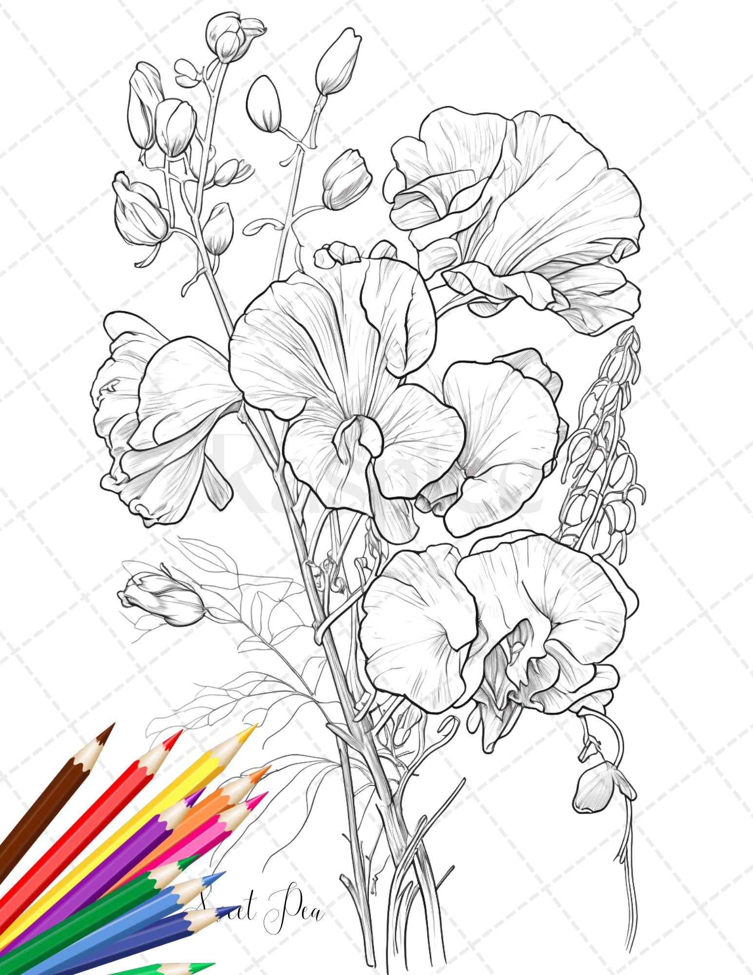 Botanical flowers printable coloring pages for adults floral grays â coloring